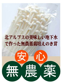 無農薬ホワイトえのき200g×2パック★無農薬・無化学肥料・消毒薬不使用★長野県産