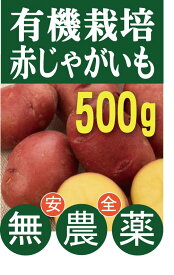 楽天市場 じゃがいも 種芋の通販