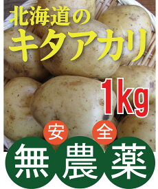 楽天市場 じゃがいも 種芋の通販