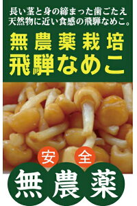 _Ȃ߂˂̂Ȃ߂ 100g×2pbNVRɋ߂H_EYEŖsgp򕌌RsY