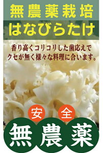 _͂Ȃт炽 80g×1pbNOJ̌Œڊ_EYEŖsgp쌧Y