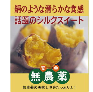 無農薬さつま芋 シルクスイート2パック(約1400g:約6〜8本)★無農薬・無添加★千葉県産★今回のものはたっぷり熟成されているのでねっとりした果肉になっています。とても上品で、シ