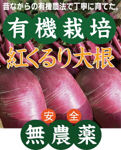 L@卪@_g卪500gpbNi1`2{jL@JASF؁R쒬Y