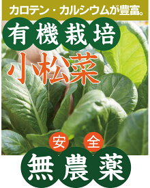 有機小松菜200g×2パック★有機JAS（無農薬・無添加）★島根県産