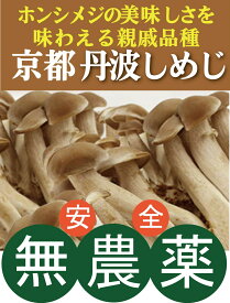 無農薬しめじ 丹波しめじ 90g×4パック★京都府産（無農薬・無添加）★品種：シメジ属血筋も味わいもホンシメジ。