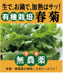 L@te1pbNi 130gjL@JASi_EYjRY