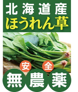 �k�C���Y�@���_��ق���񑐁i150g�j×1�p�b�N�����_��E���Y�����k�C���Y