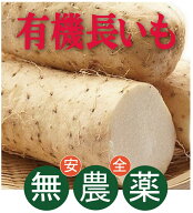 有機長芋　200g×2パック ★有機JAS★青森・岩手産