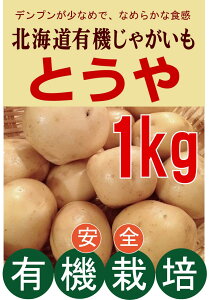 有機じゃがいも とうや500g×2パック★北海道剣淵町産★有機JAS★芽止め処理無し