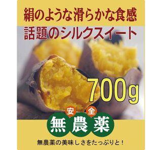 無農薬さつま芋 シルクスイート700gパック★無農薬栽培・無添加★千葉県産