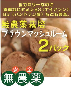 無農薬 ブラウンマッシュルーム100g（約5～7個）×2パック★山形産