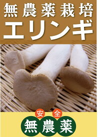 無農薬エリンギ 　100gパック★鳥取県産★無農薬・無添加