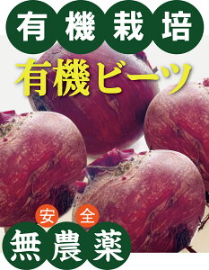 ڐ؁@L@r[c i؂łj300g×1pbN2`3聚L@JASi_EYjQnY