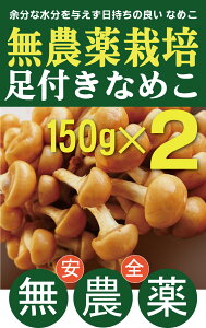 _Ȃ߂@tȂ߂150g×2pbN_EYEŖsgp쌧Yቷł͔|A|n̉h{\ɋzĐB]Ȑ^AǂȂ