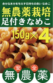 無農薬なめこ　足付きなめこ150g×4パック★無農薬・無添加・消毒薬不使用★長野県産★低温でじっくり栽培、培地からの栄養源を十分に吸って成長。余分な水分を与えず、日持ちが良いなめこです。