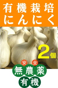 Oコ̗L@ɂɂ2L@JASXYi_EYj