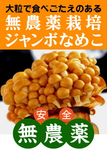 L@Ȃ߂W{Ȃ߂ 100g×2pbNSȑ嗱Ȃ߂L@JASi_EYjEŖsgpVÓ쒬Y