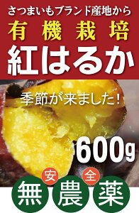 L@܂ g͂邩600gi3`4{jL@JASF؁i_EYjY
