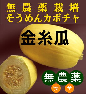 _Z@߂񂩂ڂ1i400`600gj _E엿QnY