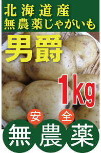 �k�C���Y�@���_�򂶂Ⴊ���� �j�� 1kg���k�C�����x�ǖ쒬�Y�����_��E���Y������~�ߏ�������