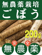 無農薬ごぼう200g×1パック★飯塚 功（茨城県鉾田町）★無農薬・無添加