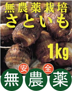 �ݗ��킳�Ƃ����@���_�򗢈�1kg�i500g×2�p�b�N�j�����_��E���Y�����_�ސ쌧�Y