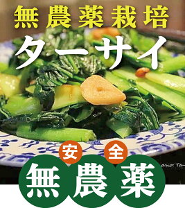 _^[TC1pbNi200`350gj_EYQnY`Q؂̒ԂŁAꖡ܂MƊÂ݂oĂ܂Bɂg܂B