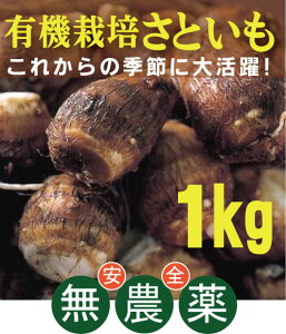 L@Ƃ@L@͔|500g×2pbNL@JASA_EYtRsY