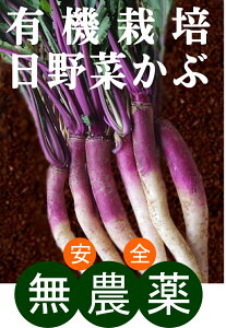 L@؂1pbNi3`5{jRYL@JASF؁i_EYj