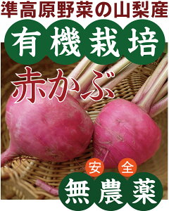 L@Ԃ1pbNi2`5ʓF400gjL@JASRY_EY|ЂłƂĂłB