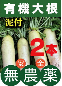 L@卪iDtj2{tY_卪L@JASF؁i_EYj