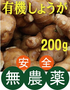 L@傤100g×2܁mYL@JASF؁i_EYj_򐶛I