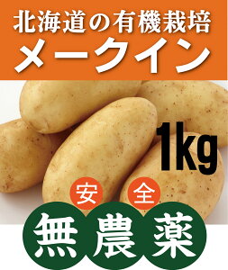 L@Ⴊ@[NC1kgkCYL@JASF؁i_EYj~ߏ