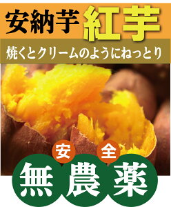 L@܂@[igj600gpbNL@JASF؁_EYY