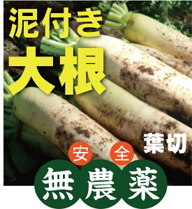 _卪it؁EDtj1{RY_EYiL@JAS̏ꍇ܂Bj