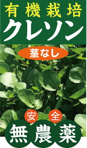 L@N\isȂj 30g×2pbNL@JASi_EYj{茧Y_͔|̃N\s}Ođ܋l߂Ă܂B