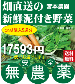 楽天市場 ナチュラルハーモニー の通販