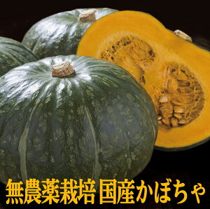 _򂩂ڂ1 _E엿mY