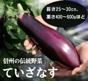 MB̓` V̑傫ȁuĂȂv 1_Ȃ쌧YÂāAƂ낯悤ȔB25`30cmAd400`600gƂrbOTCYB