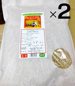 Vā@_sgpEt̂ӂ 2kg×2܁@2025NxYuӂˁv́AtƎɈ琬iŁARVqJɕȂƂHƁA傫ӂ炵