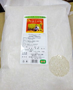 Vā@_sgpEt̂ӂ 5kg×1܁@2025NxYuӂˁv́AtƎɈ琬iŁARVqJɕȂƂHƁA傫ӂ炵