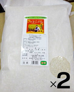 Vā@_sgpEt̂ӂ 2kg×2܁@2025NxYuӂˁv́AtƎɈ琬iŁARVqJɕȂƂHƁA傫ӂ炵