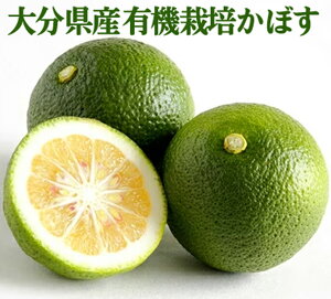 啪̗L@ڂi2j×2pbNL@JASF؁@L@ڂ_Yi啪Pnsj