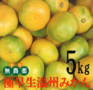 Q̖_ ɑB݂5kgYҁFXiQ\sj_EY