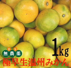 Q̖_ ɑB݂1kgYҁFXiQ\sj_EY