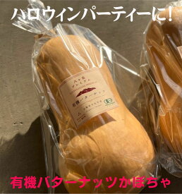お子様に大人気！有機バターナッツかぼちゃ1個（約600g〜800g） ★山梨県産・有機JAS認証★ポタージュスープや形の面白さを利用してスイーツやグラタンにも。ハロウィンなどにも大活躍のかぼちゃです。