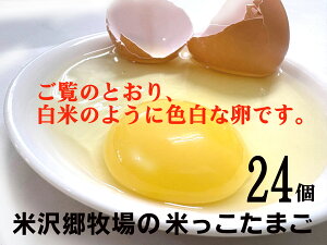 đ򋽖q@Ă܂i6j×4pbNSBn̎Ă35AYĂʂ15gpȂ|Xgn[xXgt[̃gERV哤ȂǁASBR