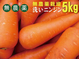 _jWi􂢁j5kgs̏ꍇ܂BXY_͔|lQEY