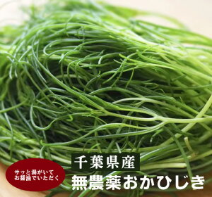 L@Ђ60gpbNL@JASi_EYjtY_炩ăVLVLA܂݂܂B