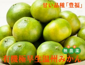 高岡さんの有機極早生温州みかん5kg★早生みかんのなかで甘い品種:豊福 ■生産者:高岡オレンジ園(熊本県宇城市)有機JAS認証(無農薬・無添加)